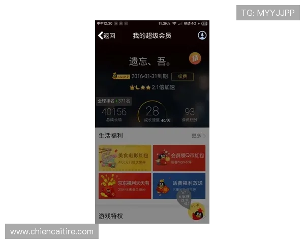 尊龙凯时手机版会员登录入口及操作指南，轻松实现账号安全与游戏畅玩